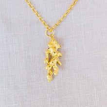 Load image into Gallery viewer, Coralia